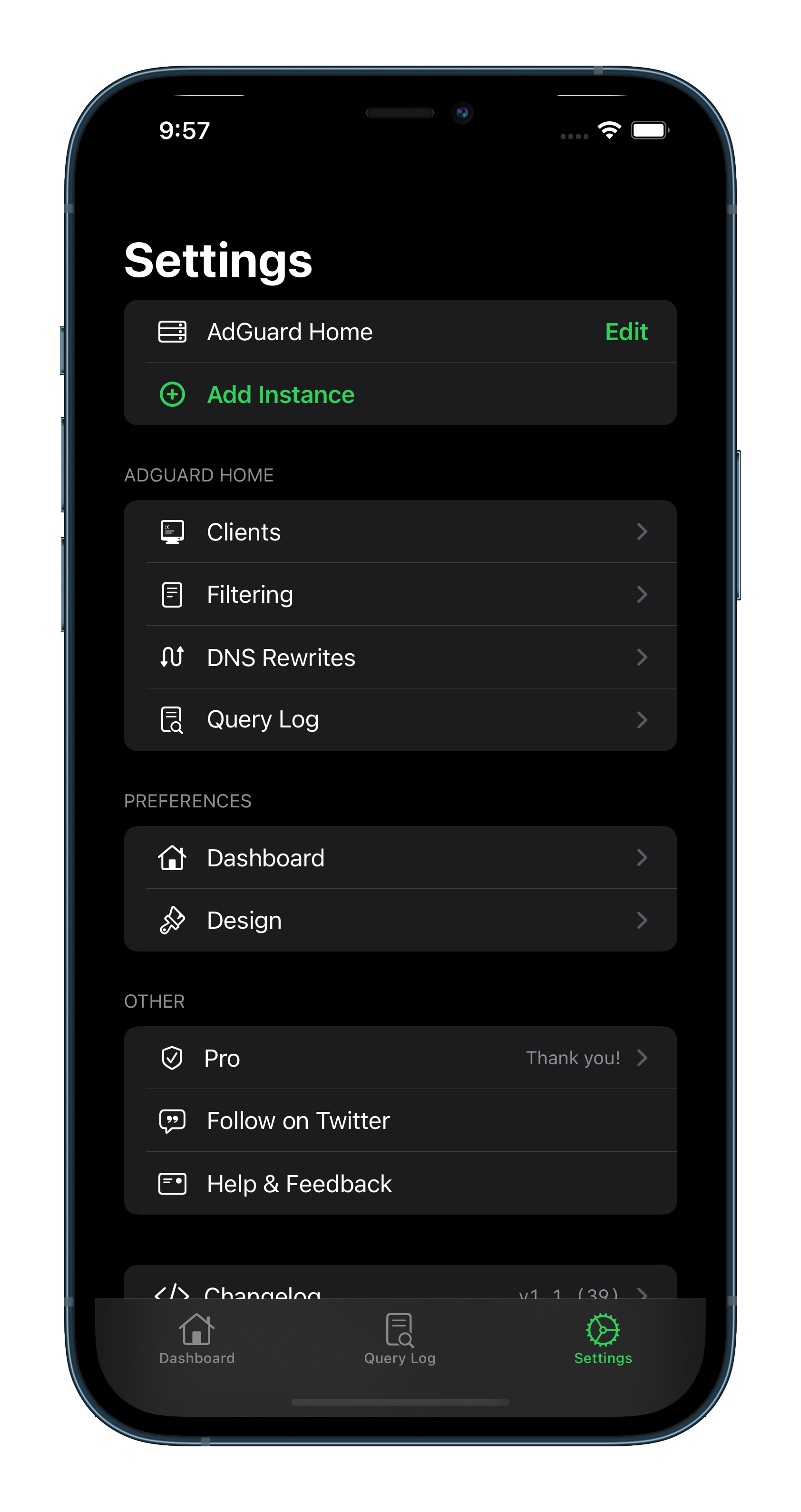 AdGuard Home Remote Settings Tab